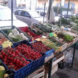 OASI DELLA FRUTTA