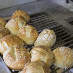 Antico forno Cicella di Vico Stefano