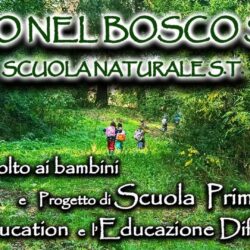 Asilo nel bosco SoleeTerra