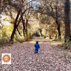 Asilo nel bosco SoleeTerra